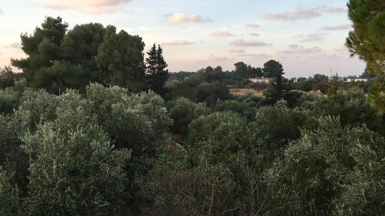 Riserva Ancelle San Pietro in Bevagna Esterno foto