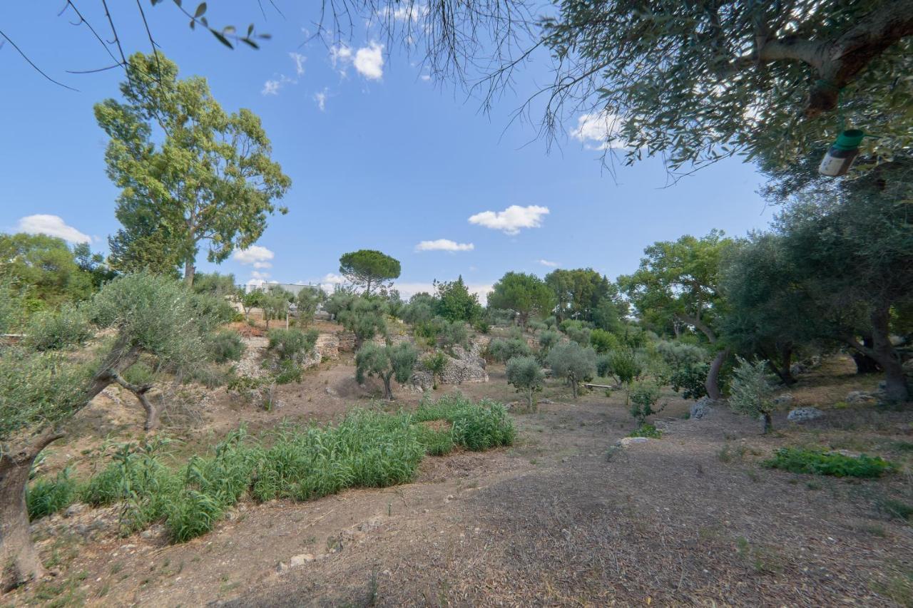 Riserva Ancelle San Pietro in Bevagna Esterno foto
